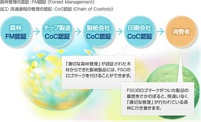 ӴǧڡFMǧڡForest Management ùή̲δǧڡCoCǧڡChain of Custody